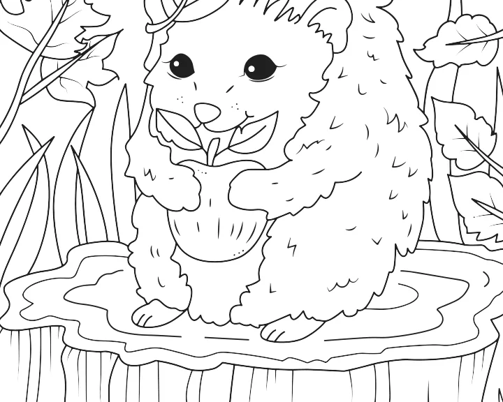 The hedgehog page, Regular: the lines as drawn