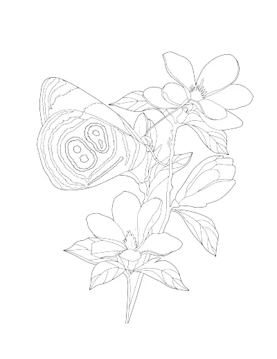 Coloring page of a butterfly resting on a branch of blossoms. Regular version.