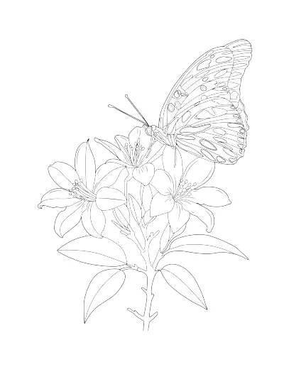 Coloring page of a butterfly on a lily. Regular version.