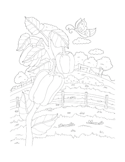 Coloring page of a bell pepper plant by a rail fence, with hills and clouds. Regular version.