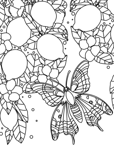 Coloring page of a butterfly among lemons and blossoms, in an all-over pattern. Bold version, with thicker lines.