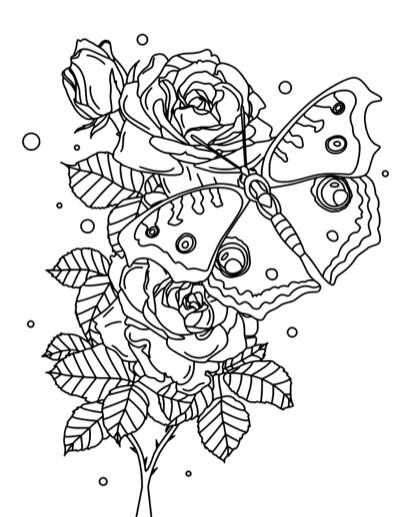 Coloring page of a butterfly on a single rose. Bold version, with thicker lines.
