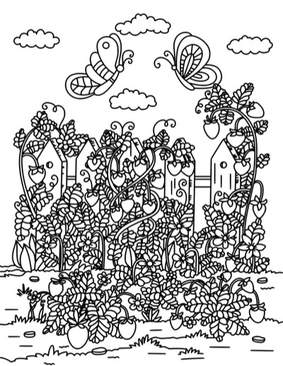 Coloring page of strawberries climbing a picket fence. Bold version, with thicker lines.