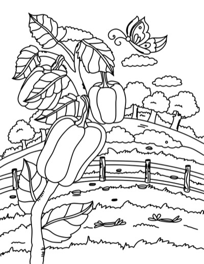 Coloring page of a bell pepper plant by a rail fence, with hills and clouds. Bold version, with thicker lines.