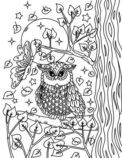 Coloring page of an owl in a tree at night, with leaves and stars. Bold version, with thicker lines.